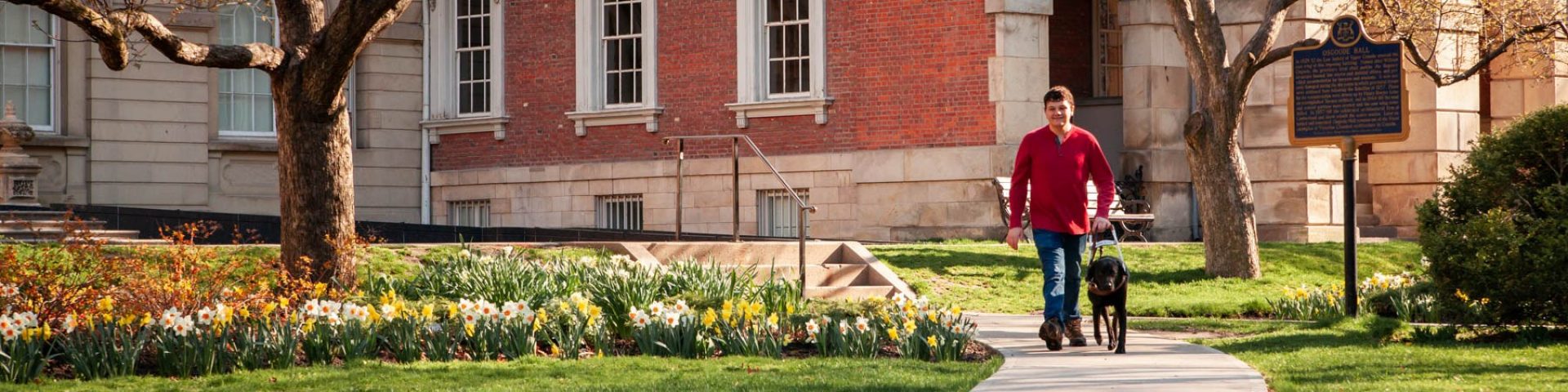 A young man and his black Lab guide dog walking in a park, surrounded by green trees, yellow flowers, and a brick building in the background.