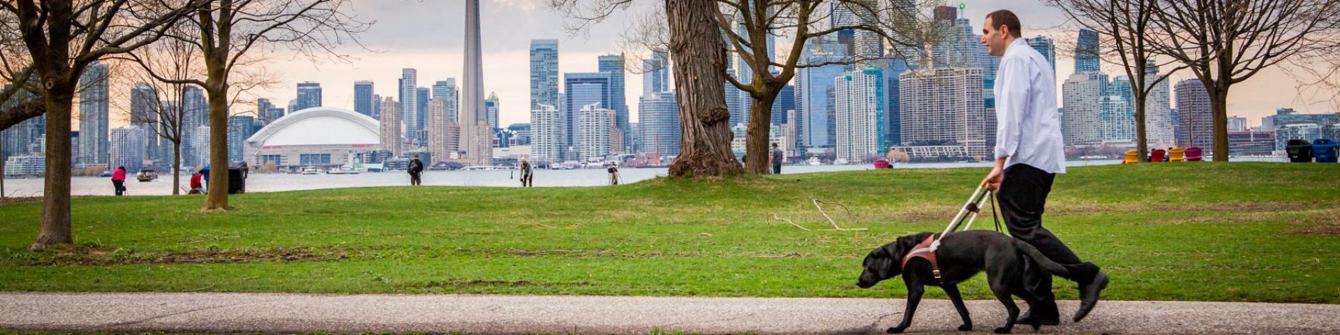 A man walking in profile with his black Lab guide dog with the Toronto skyline as a backdrop.